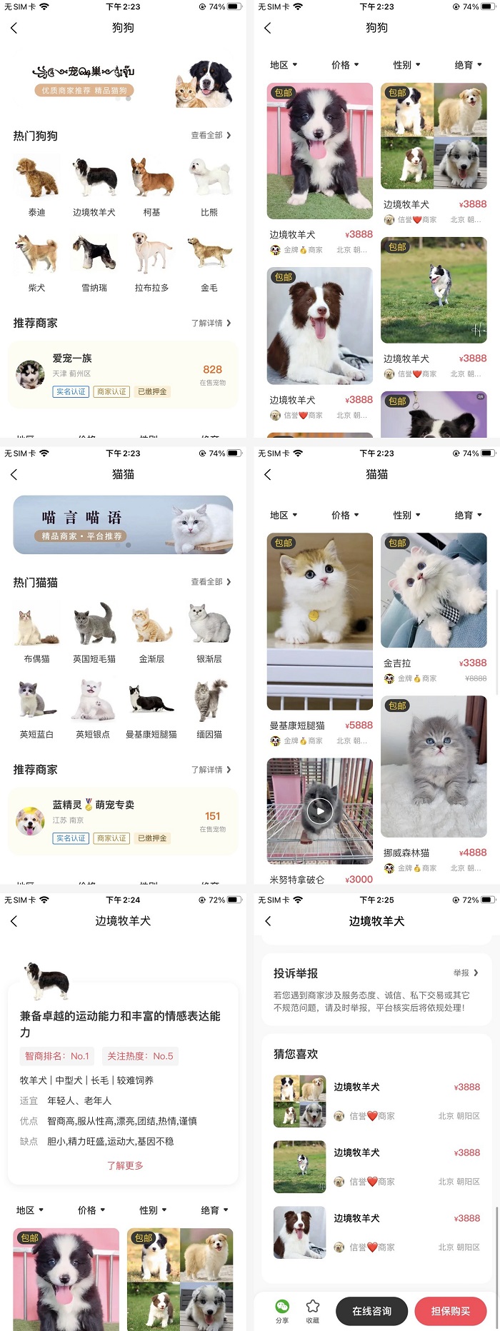 在线同城宠物交易养宠物必备APP案例
