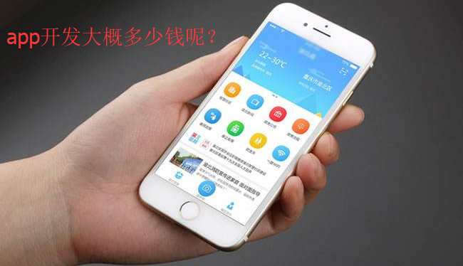 APP开发大概需要多少钱.png
