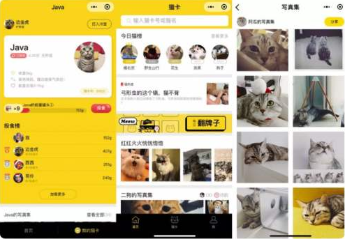 重庆宠物小程序开发