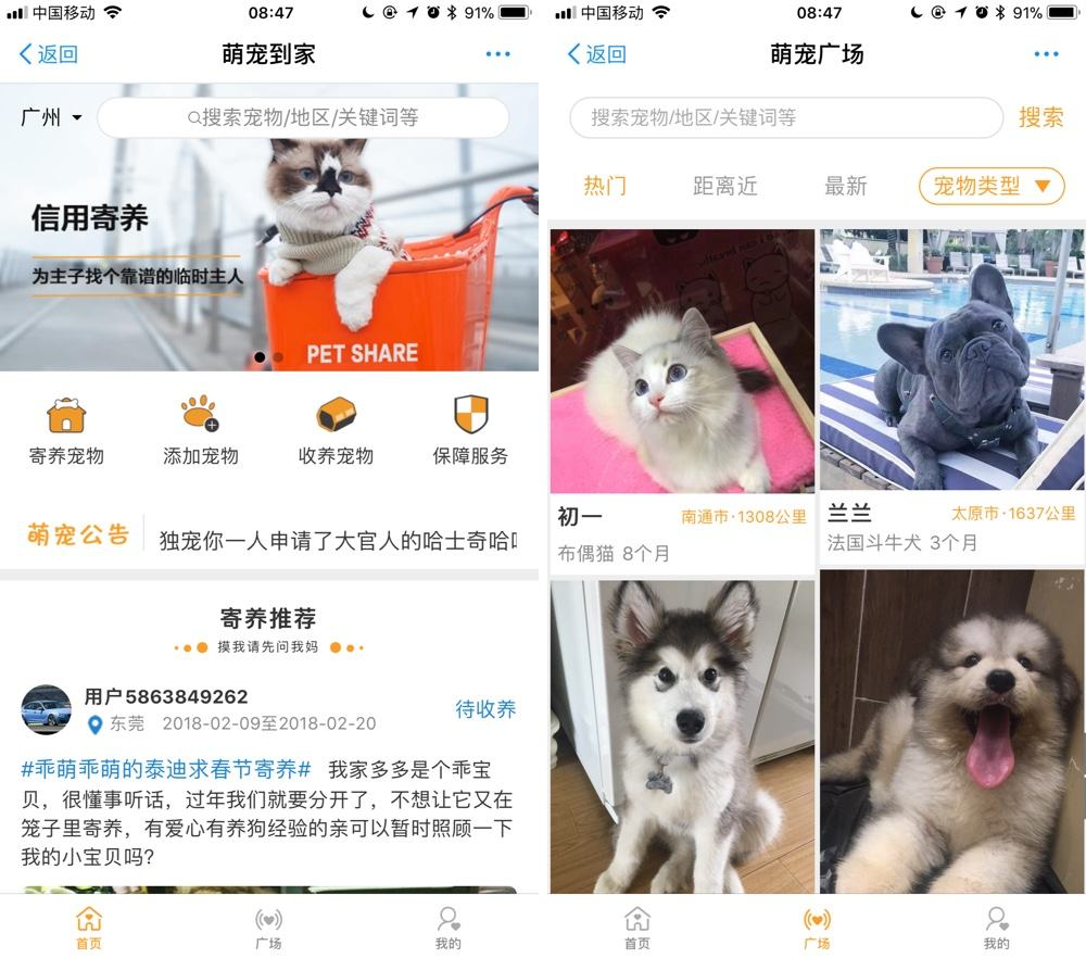 宠物小程序开发找哪家公司好-需要多少钱？