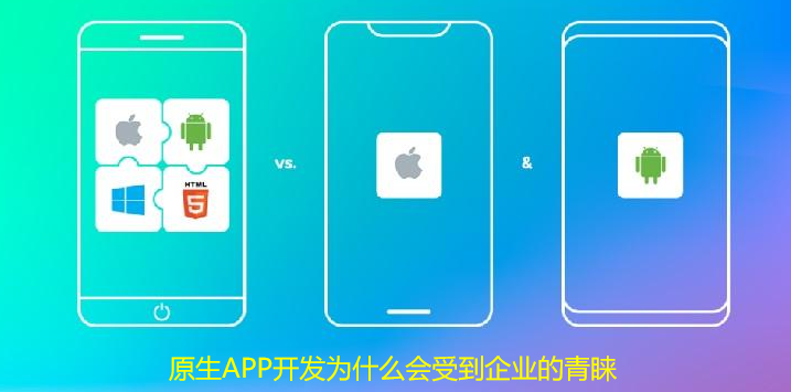 原生APP开发为什么会受到企业的青睐