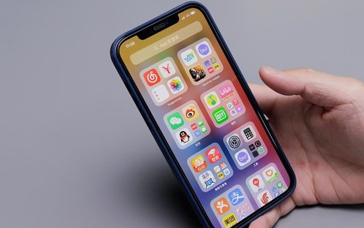 重庆手机app软件开发