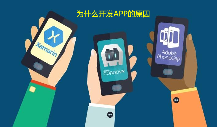为什么开发APP的原因
