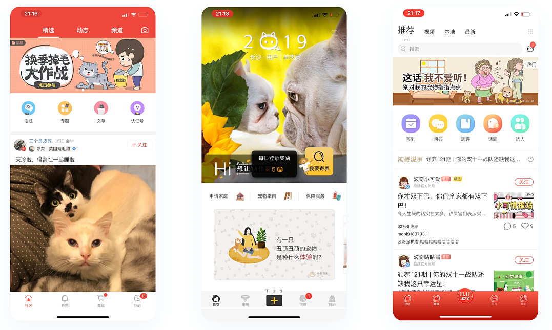 宠物APP开发取代传统宠物医疗行业成为用户首选