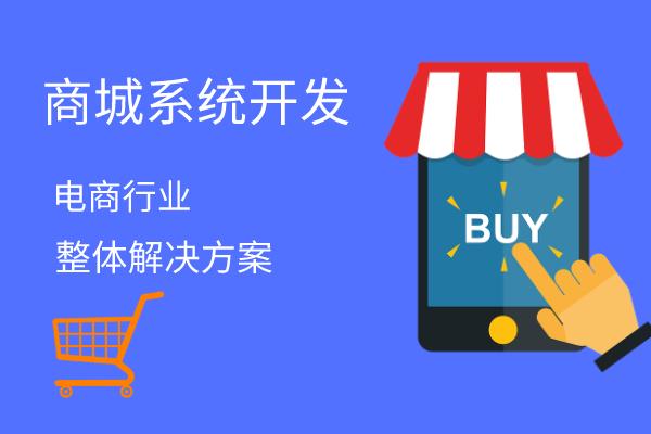 北京商城开发-商城系统开发公司
